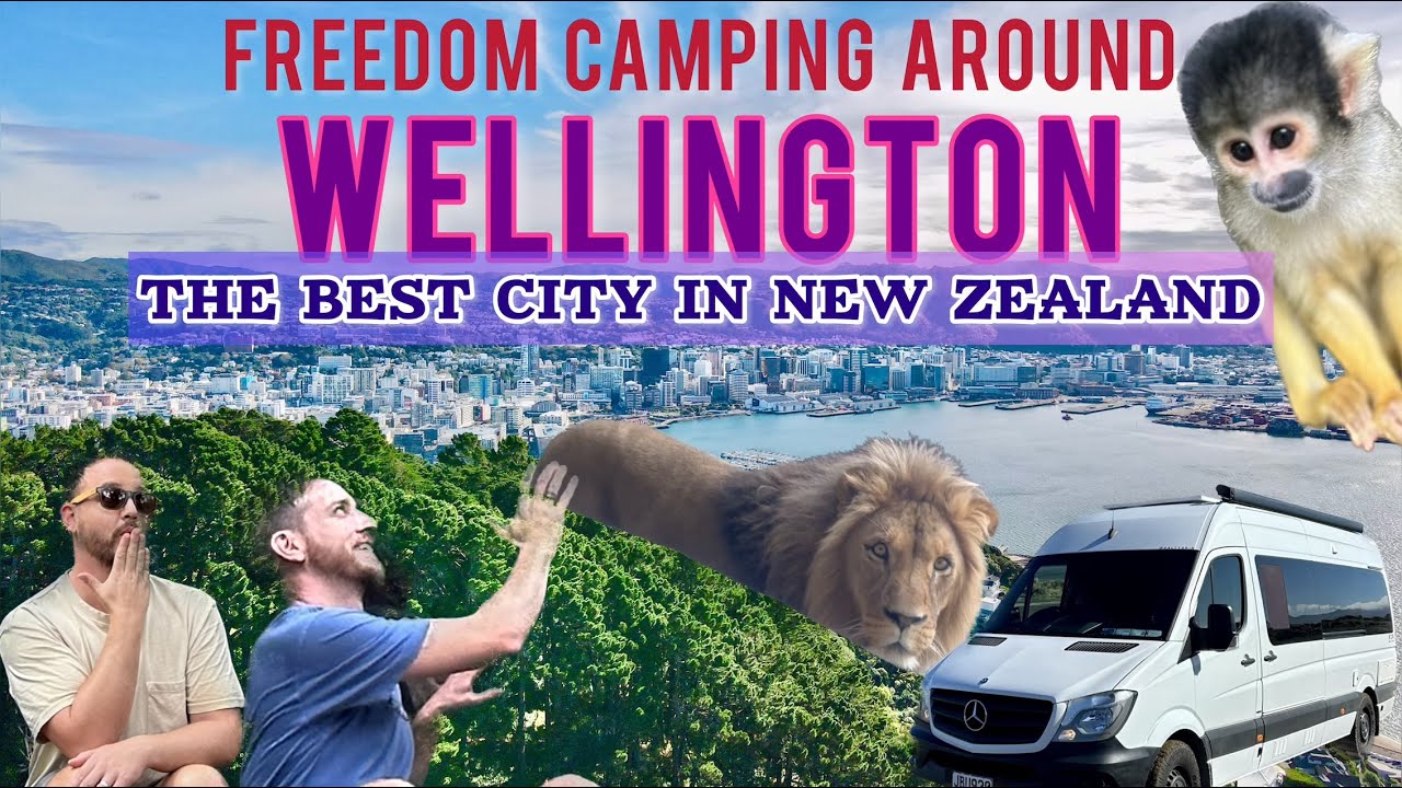 The Best City in New Zealand | Wellington Freedom Camping