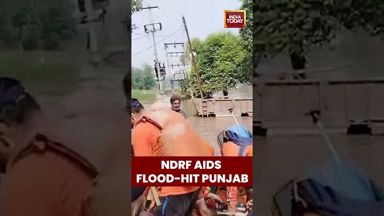 #NDRFTeam Reaches #GurdaspurVillage to Deliver #Relief in #Punjab Flood-Hit Areas | #indiatoday