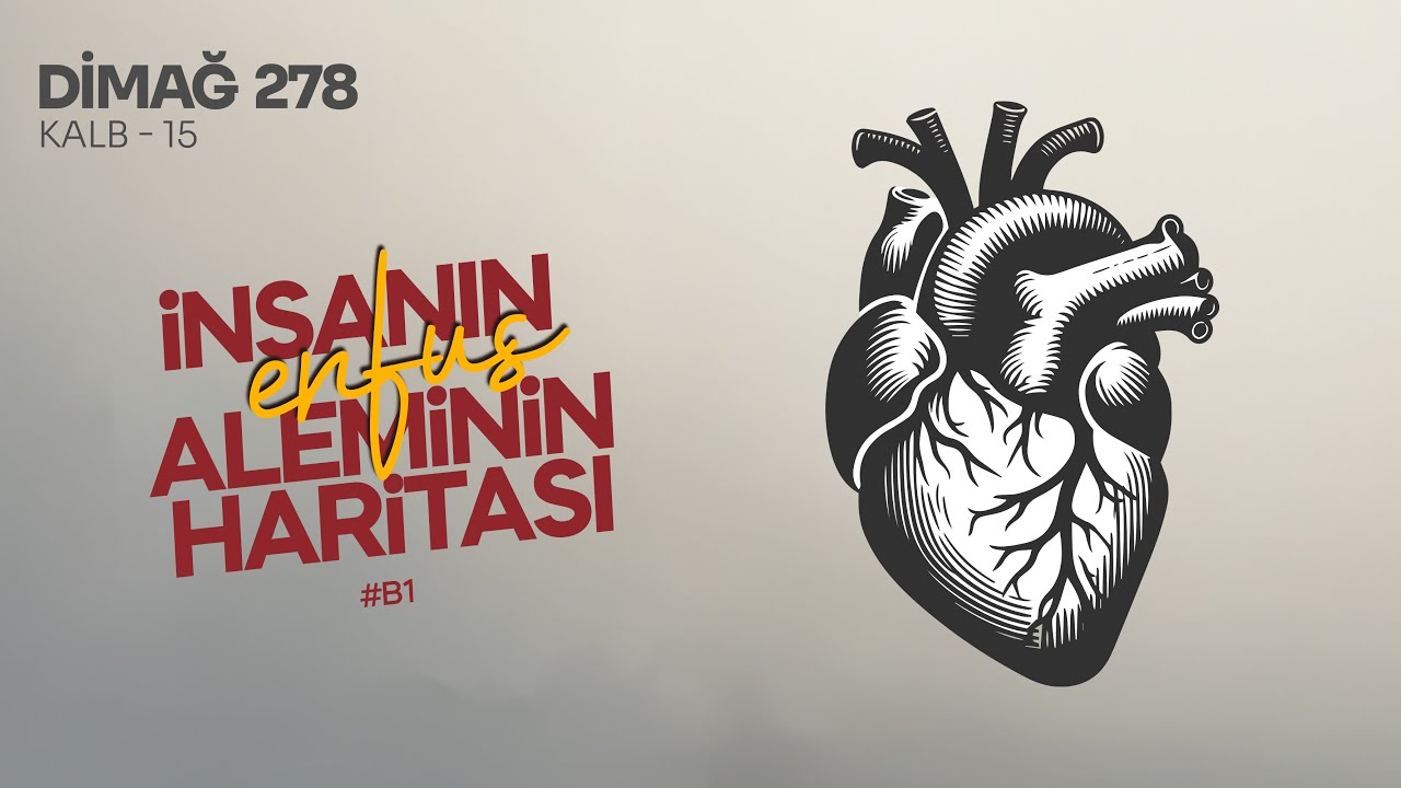 İNSANIN ENFÜS ALEMİNİN HARİTASI!  B:1 |  DİMAĞ-278 KALB-15