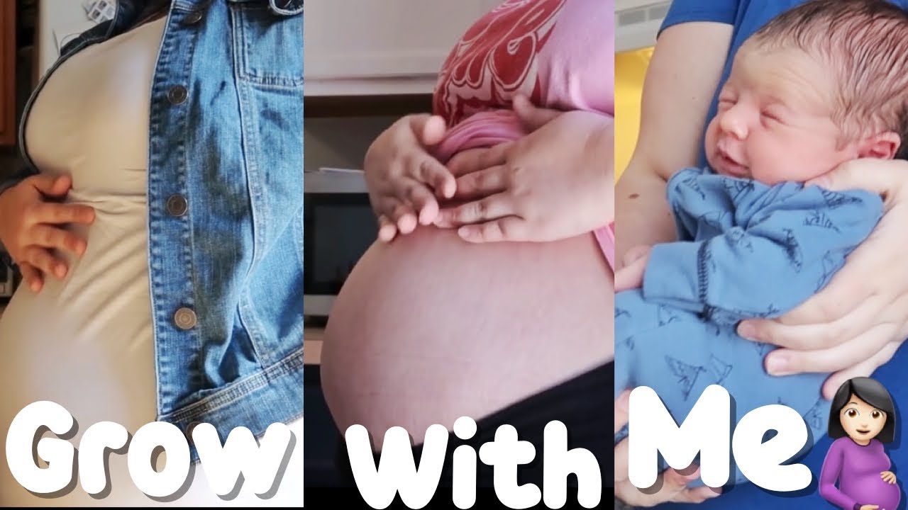 Plus Size Pregnancy Belly Progression | Week By Week