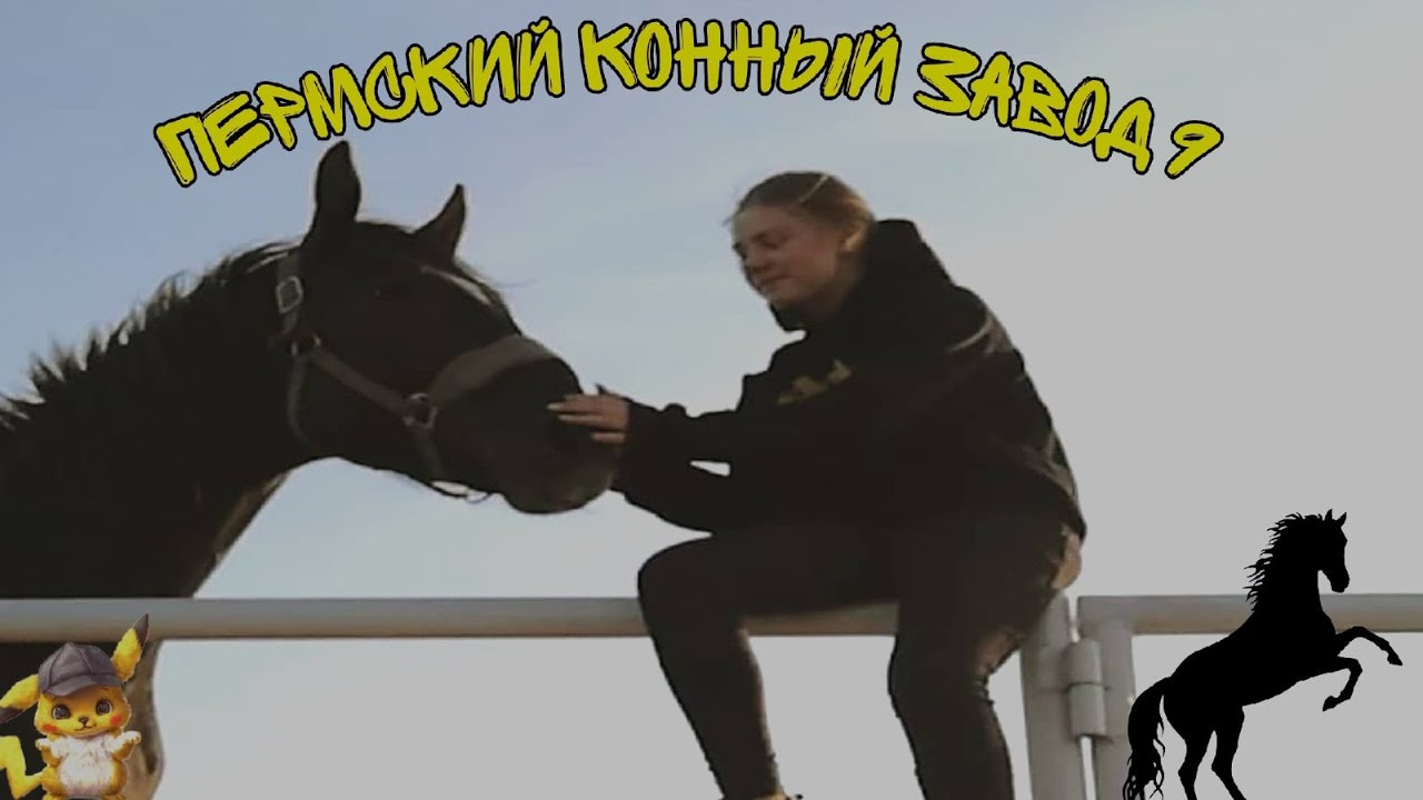 Новая работа. Пермский конный завод 9