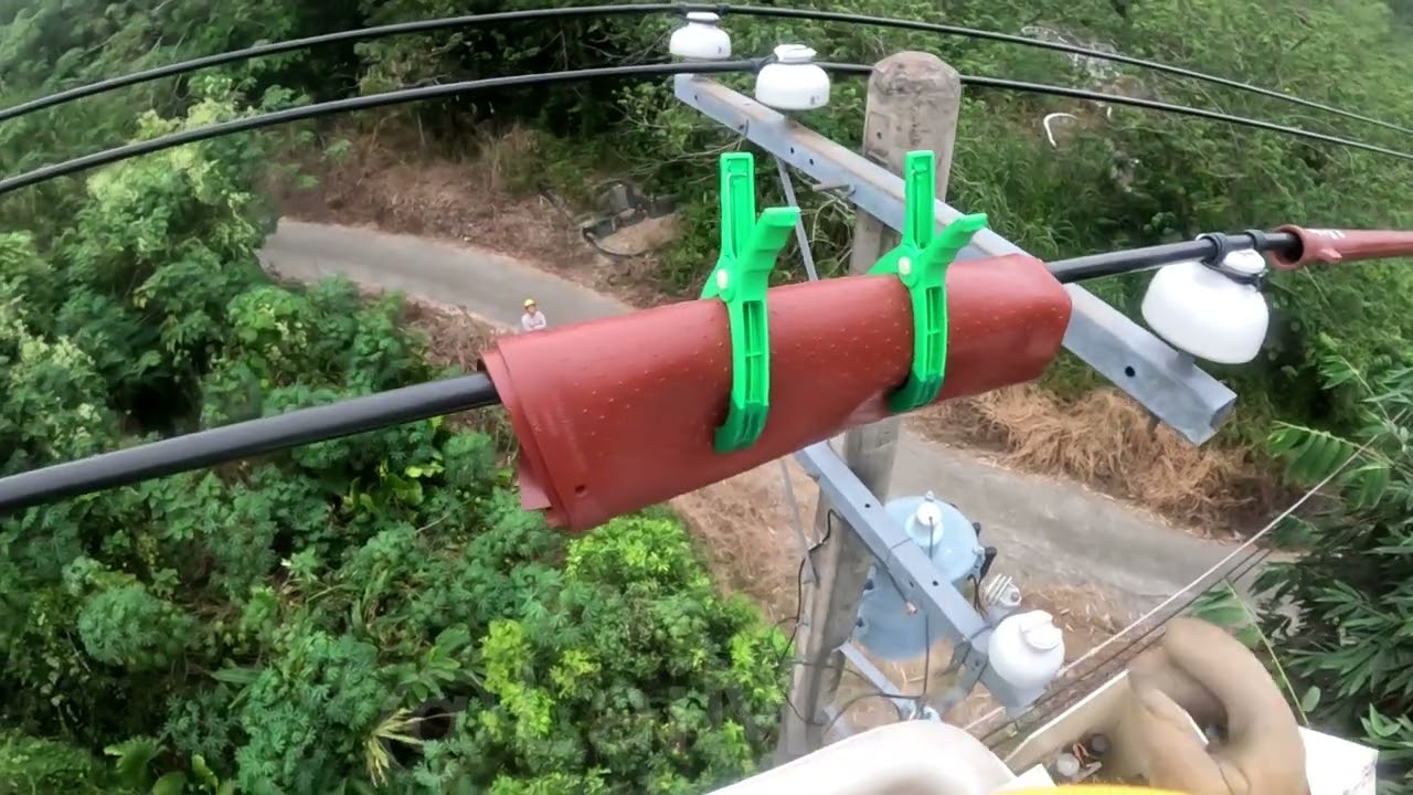 拆除斷落的避雷器、重新綁紮脫落的電纜線、更換融斷的fuse、被覆化