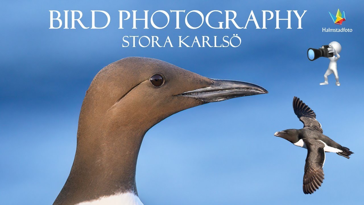 STORA KARLSÖ May 2022. What an island!!