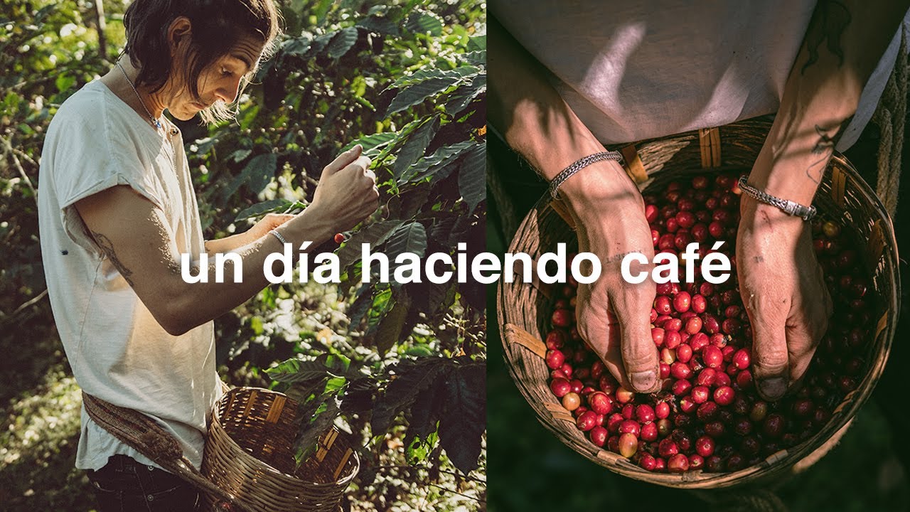El día que hice café en las montañas de Oaxaca | CARE
