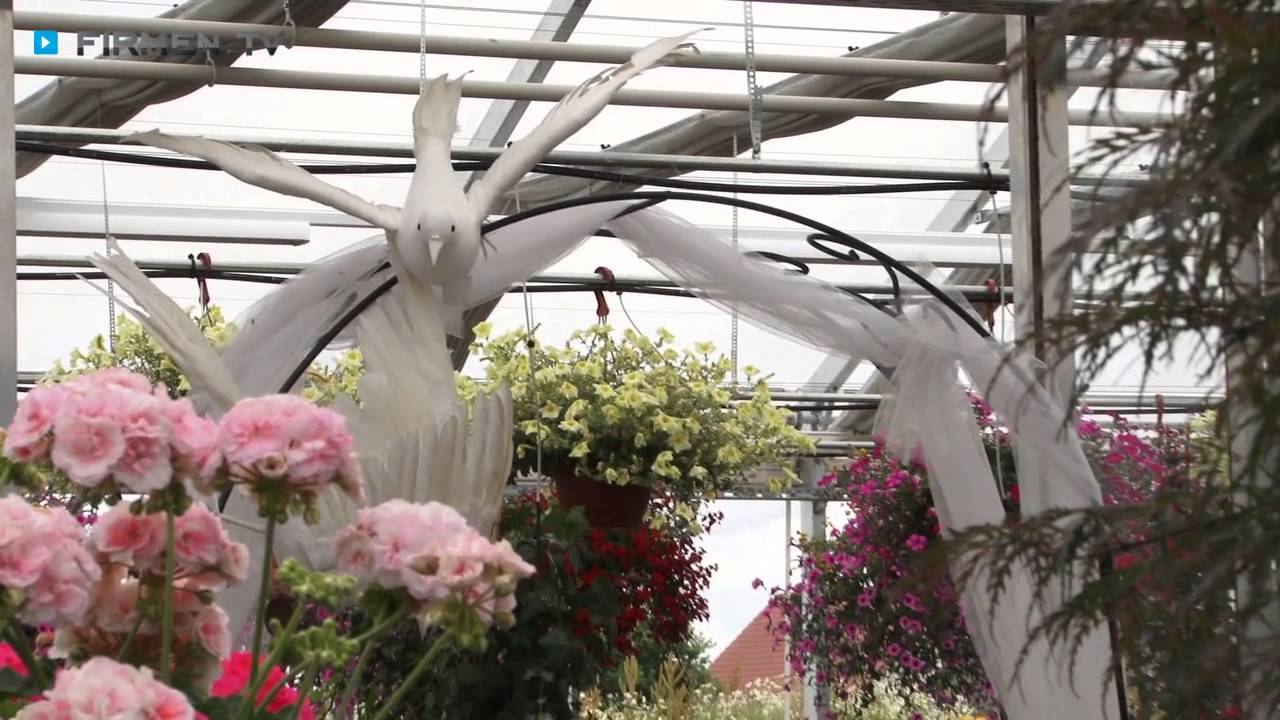 G&auml;rtnerei Garten & Floristik Prifling in Schmidgaden - Gartencenter im Landkreis Schwandorf