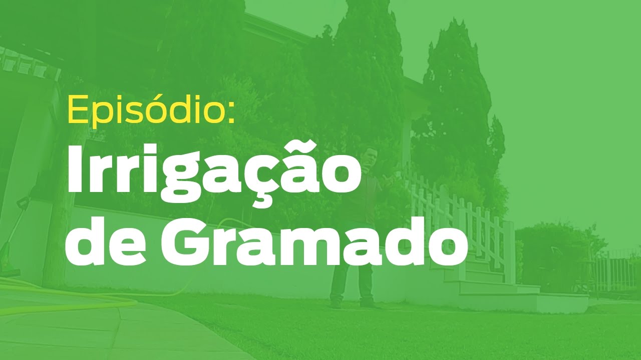 Como regar meu gramado?
