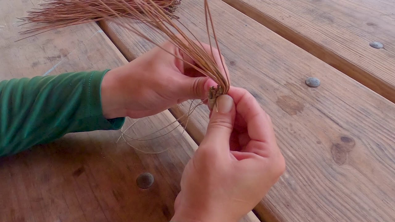 Explorers' Activity: How to Make a Pine Needle Basket