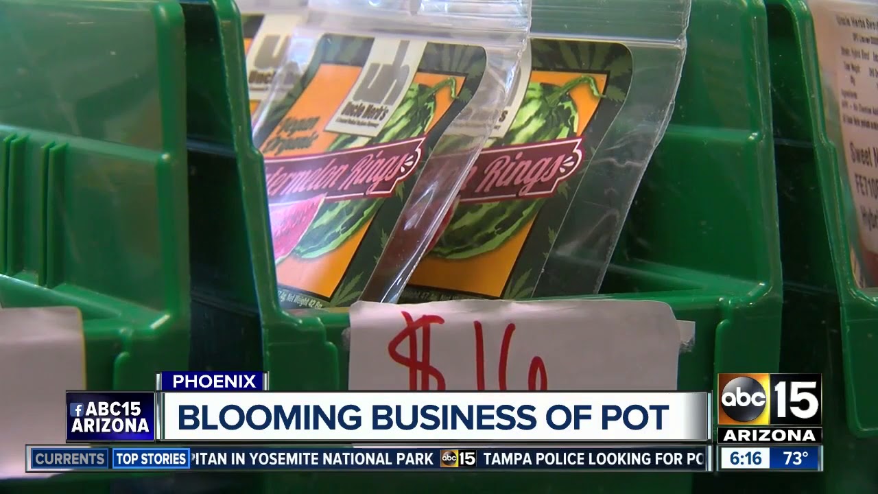 Encanto dispensary research centering on making medical marijuana more inexpensive