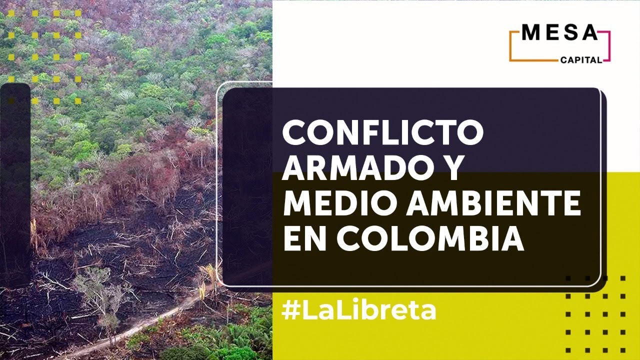 La reconfiguración del conflicto armado tiene implicaciones ambientales | La Libreta - Mesa Capital