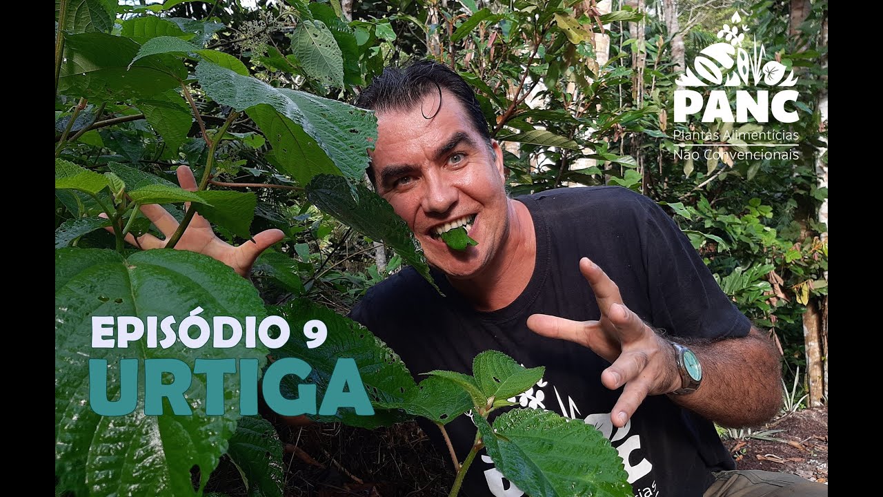 EPISÓDIO 9 - URTIGA | #pancnaveia #valdelykinupp