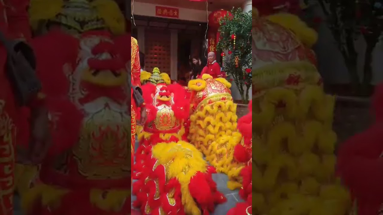 The grand opening has begun and good luck 🥰🇰🇭🧧💵🎉#Liondance 