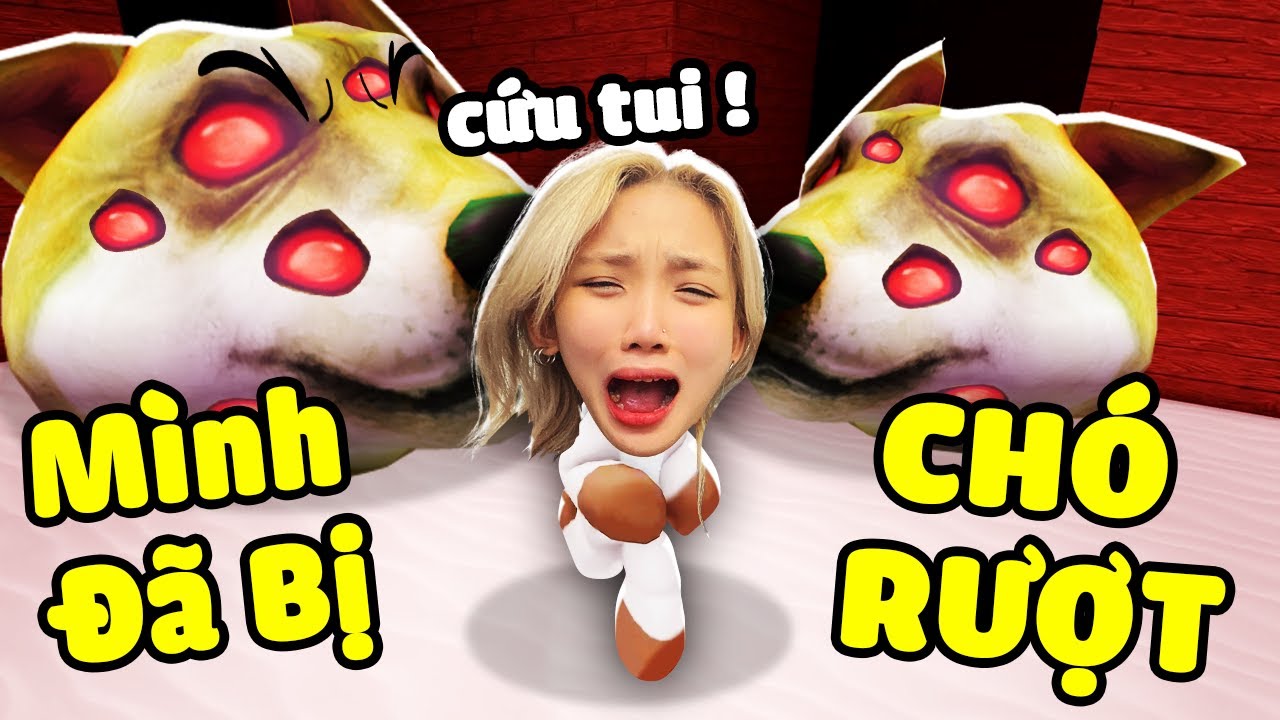 Mình Đã Bị 