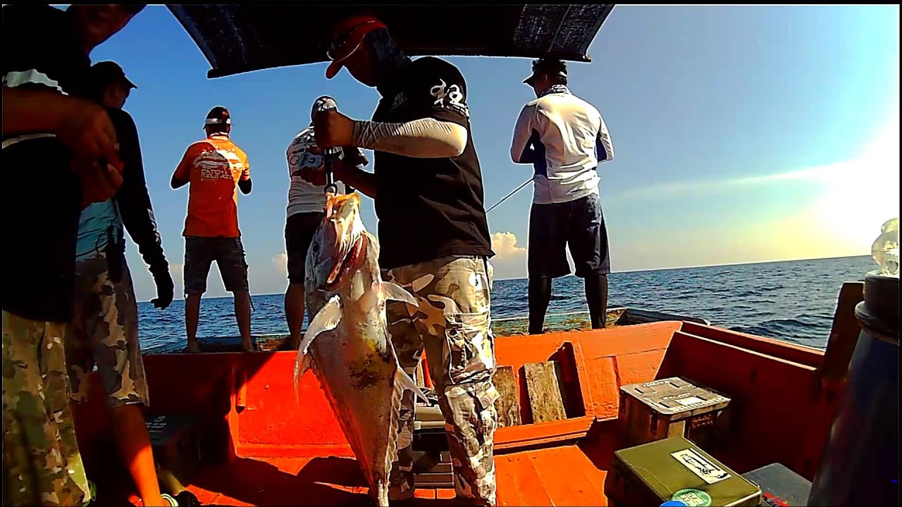 JigGING EBEK alcent lim fight ebek 7.9kg part 1