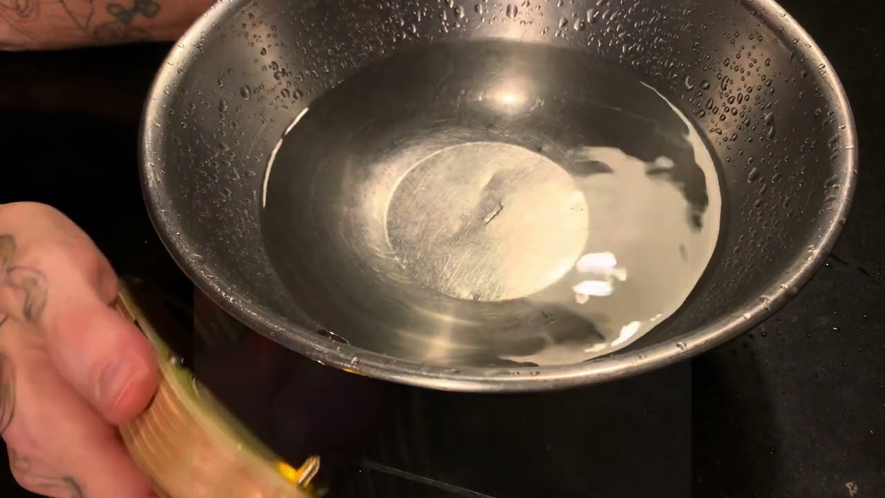 FERROUS: Handheld Spinning Magnetic String Resonator