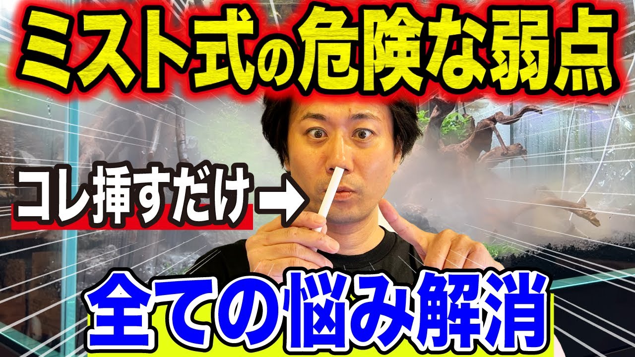 【超簡単】ミスト式立ち上げの悩みを解決する”便利グッズ”プロがオススメ！