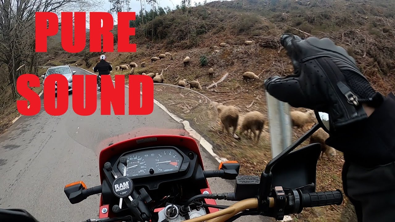 Honda Dominator NX650 Ride in Portugal | Pure Sound 🔊