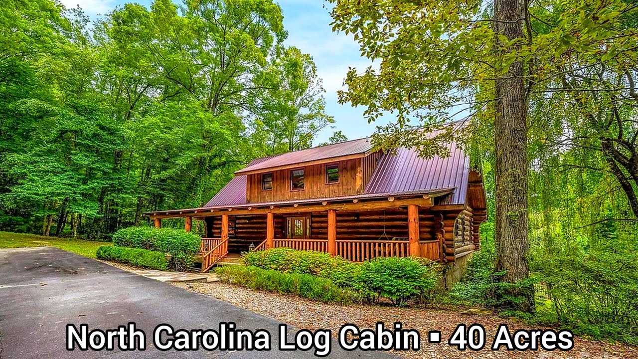 North Carolina Log Cabins For Sale | 40+ Acres | North Carolina Land For Sale | Upland Forest #7