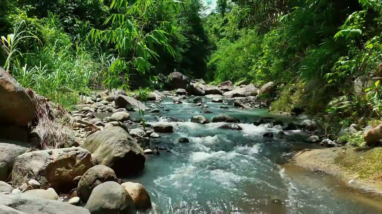 Deep Calm Starts Here | Natural Jungle River for Anxiety Relief