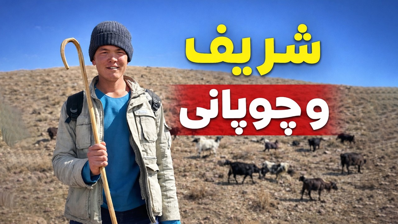 شریف و چوپانی جایی که زمان آهسته‌ تر می‌گذره