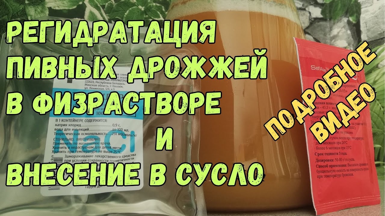 Как размножить пивные дрожжи,стартер для сусла.