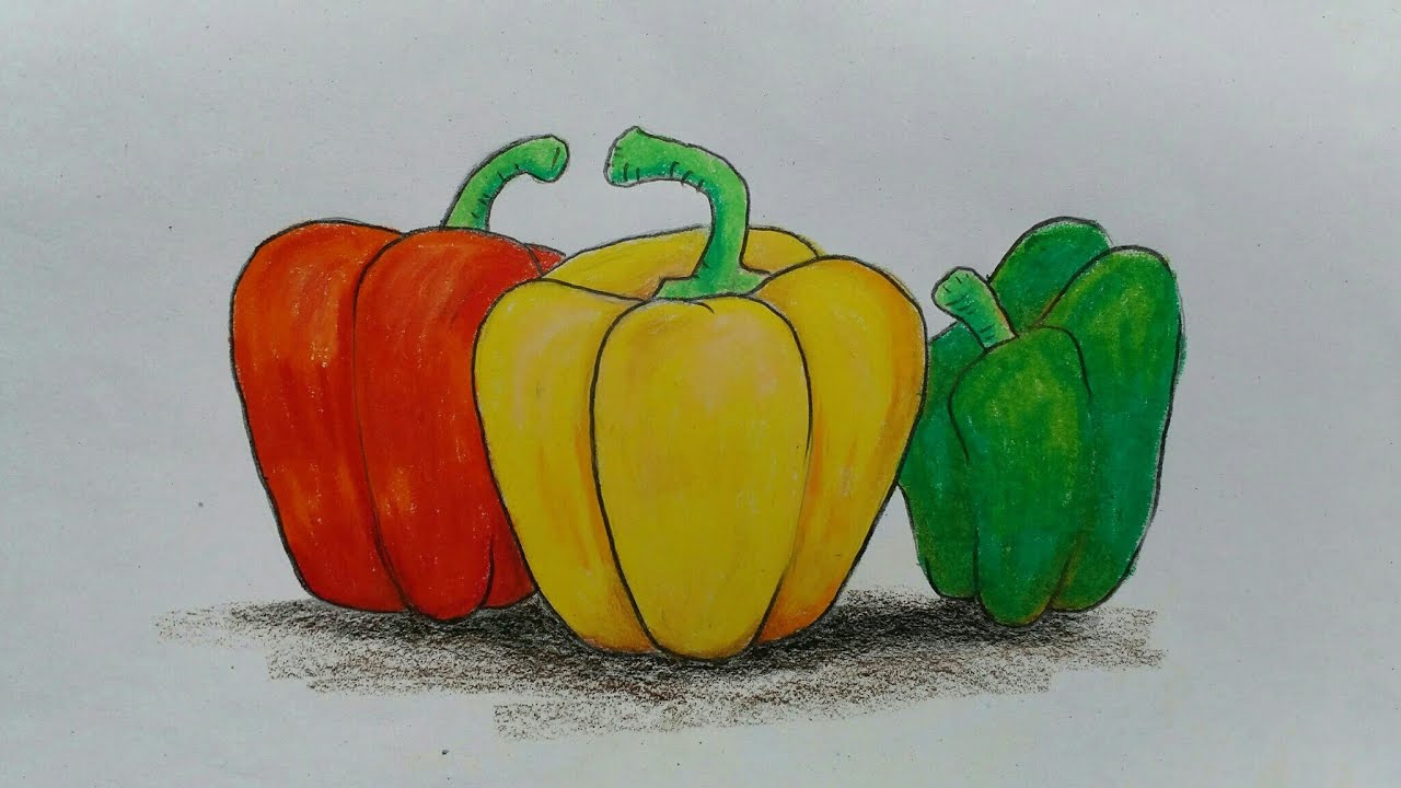 How to draw capsicum easy