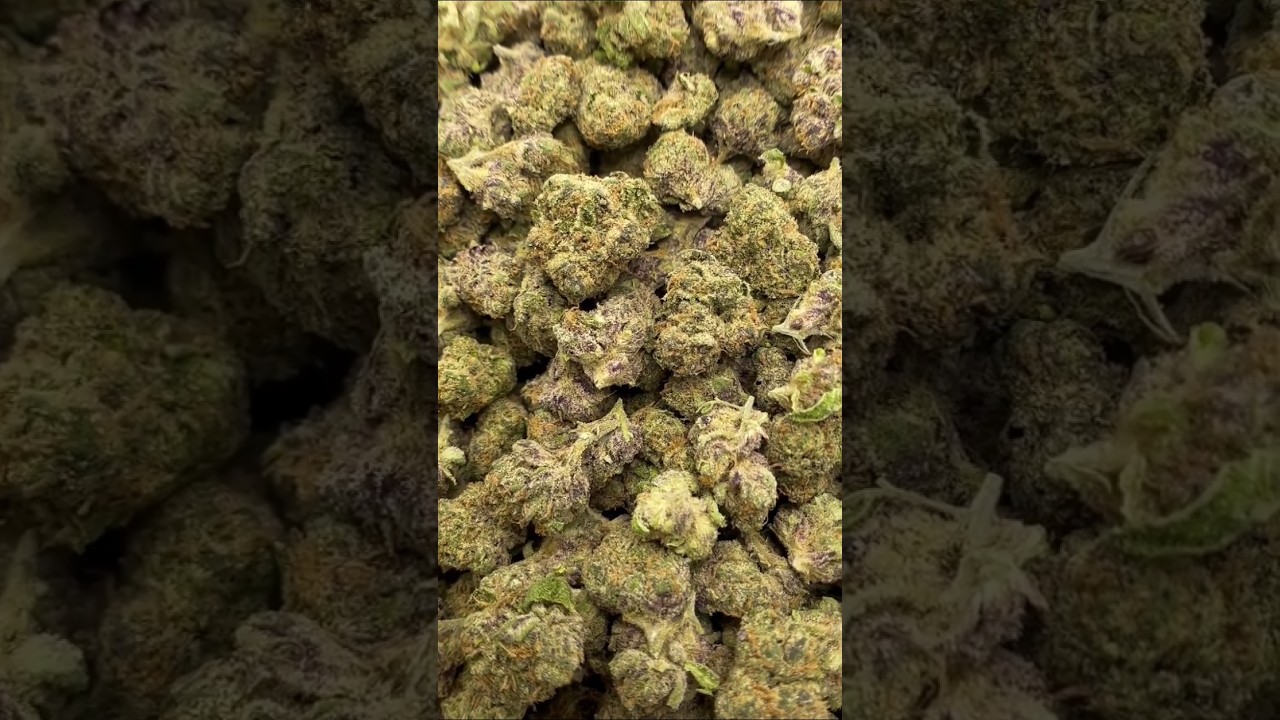 Z Runtz #420 #710 #510