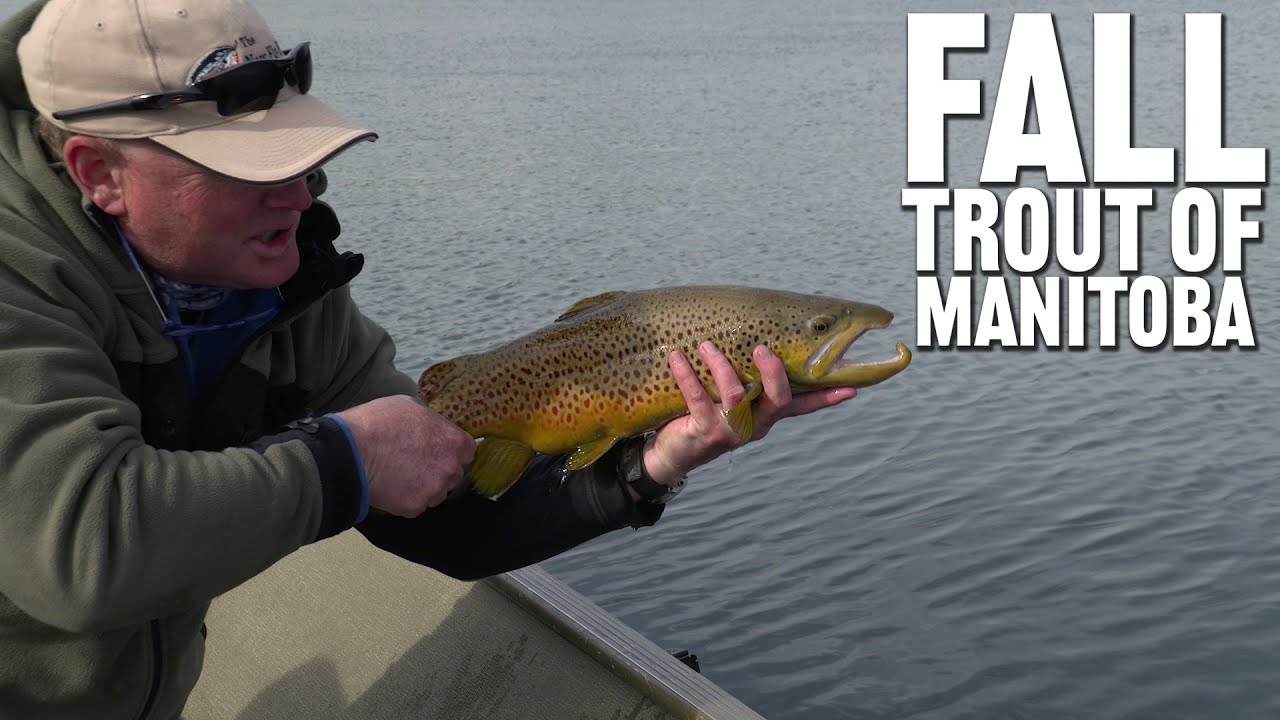 Fall Trout of Manitoba | Russell Inn