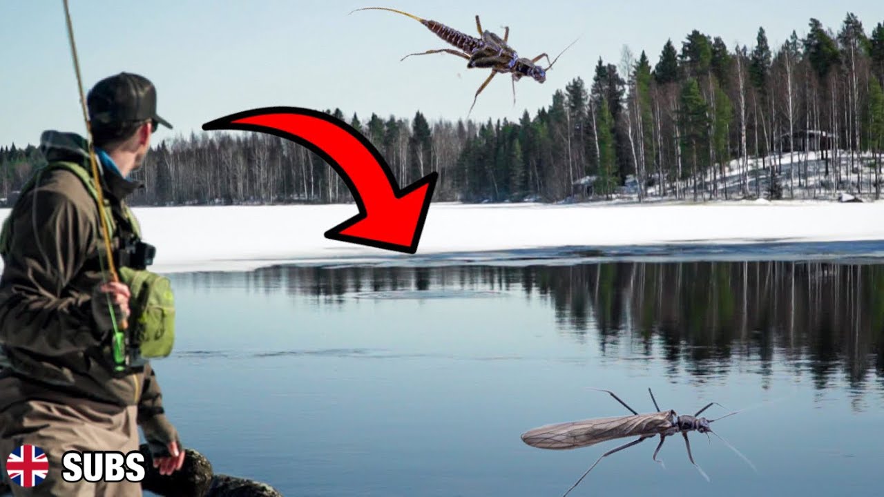 OIKEASSA PAIKASSA, OIKEAAN AIKAAN | Elämäni ensimmäinen sumarireissu