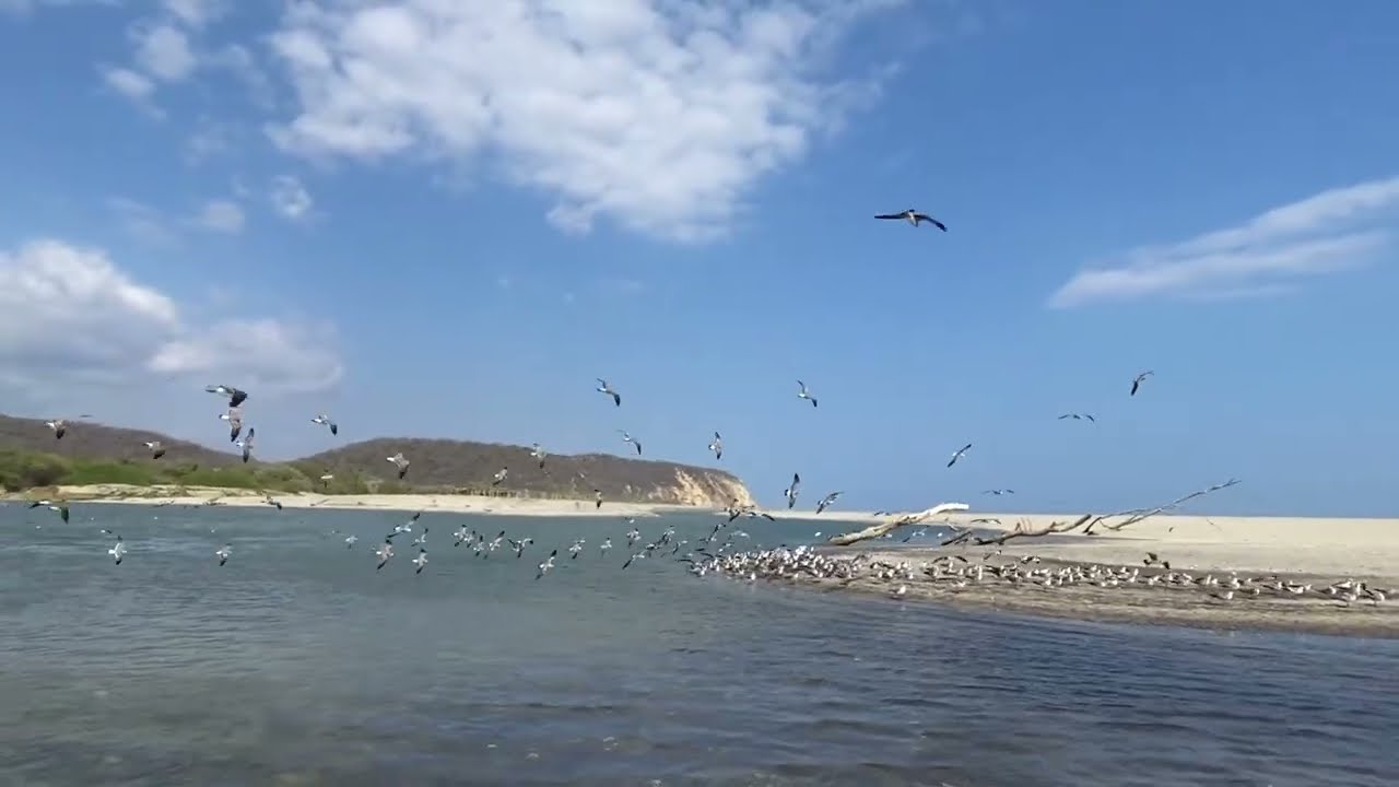 La Bocana