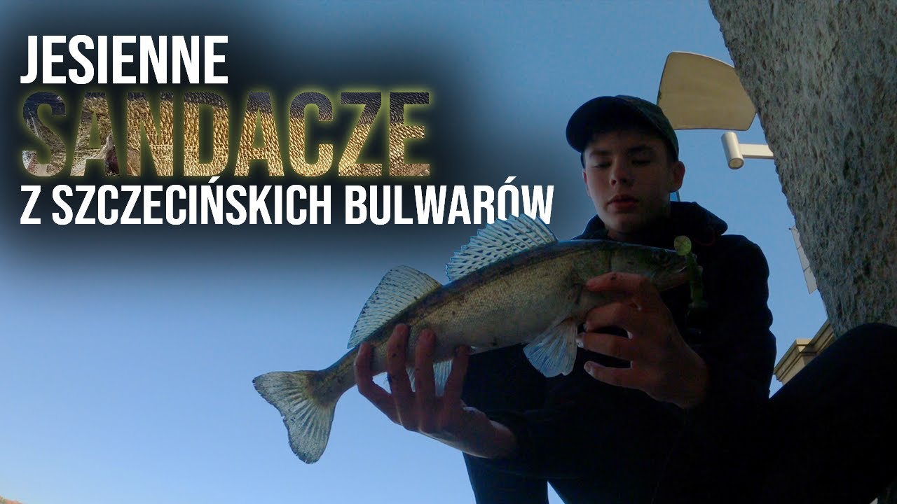 SANDACZE Z SZCZECIŃSKICH BULWARÓW PO ZATRUCIU ODRY | CZY COŚ TU JESZCZE PŁYWA? | MASA RYB! |#vlog  6