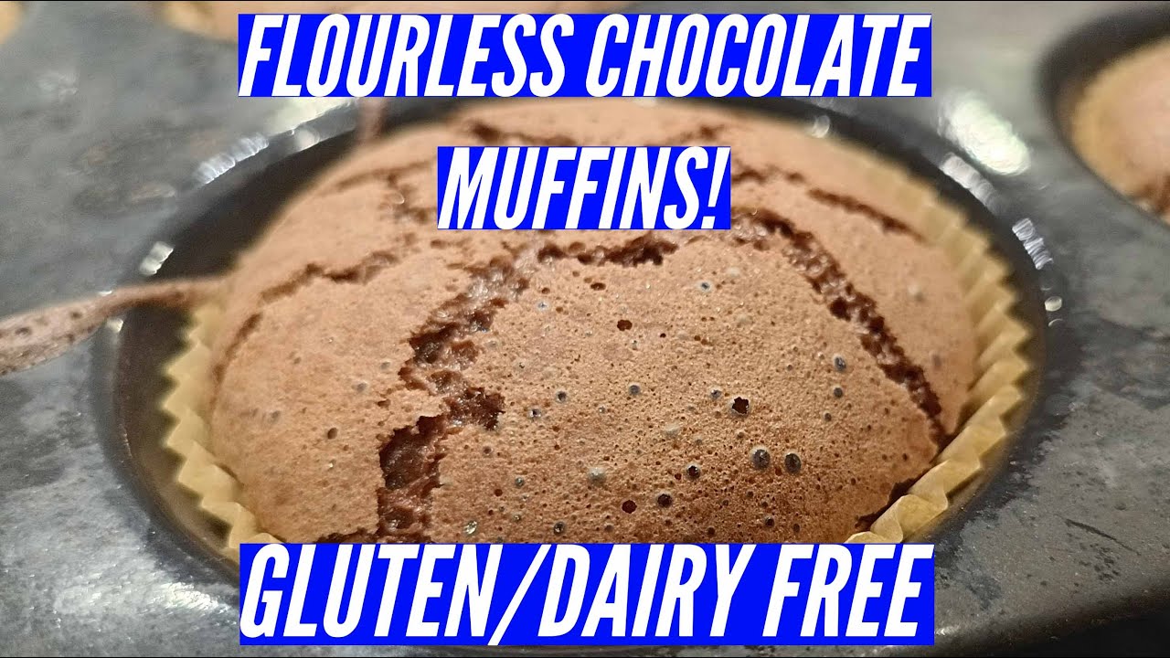 Flourless Chocolate Muffins! Gluten/Dairy free (full recipe in description)