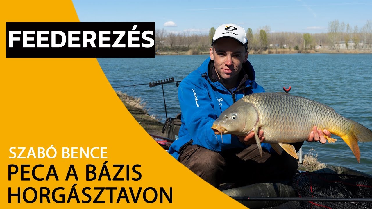 Peca a B&aacute;zis Horg&aacute;sztavon