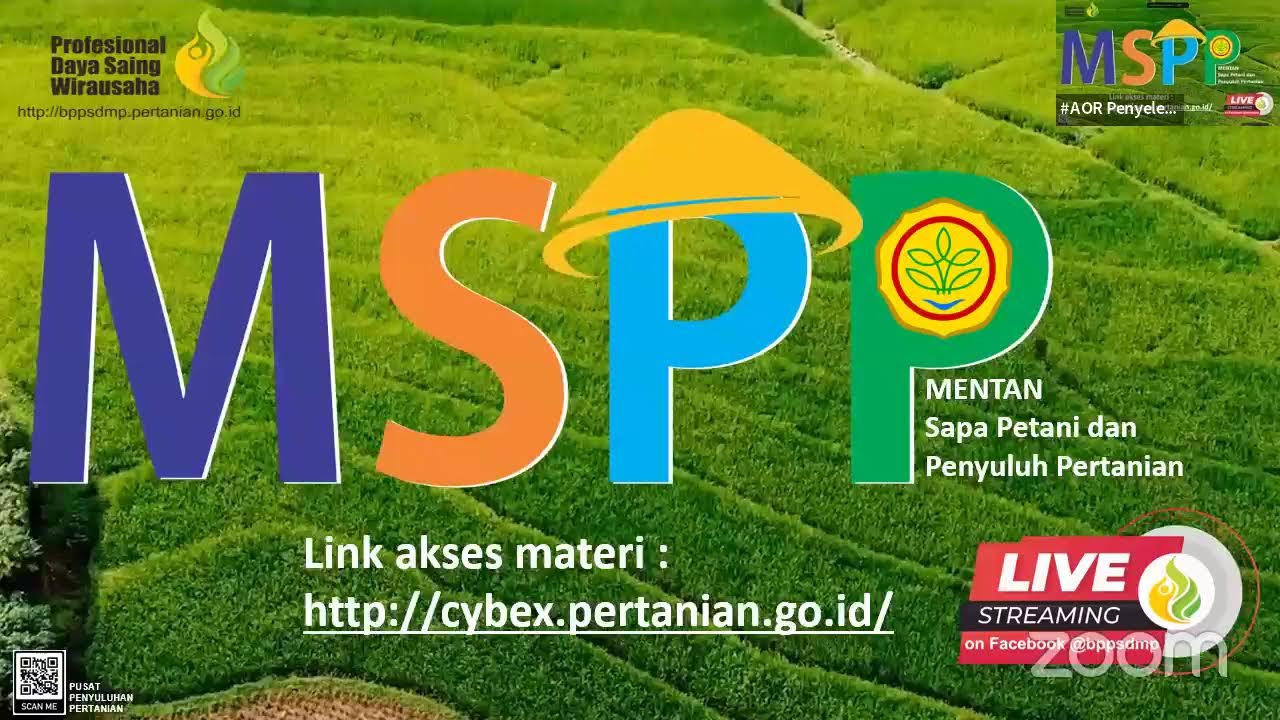 MSPP Vol 14