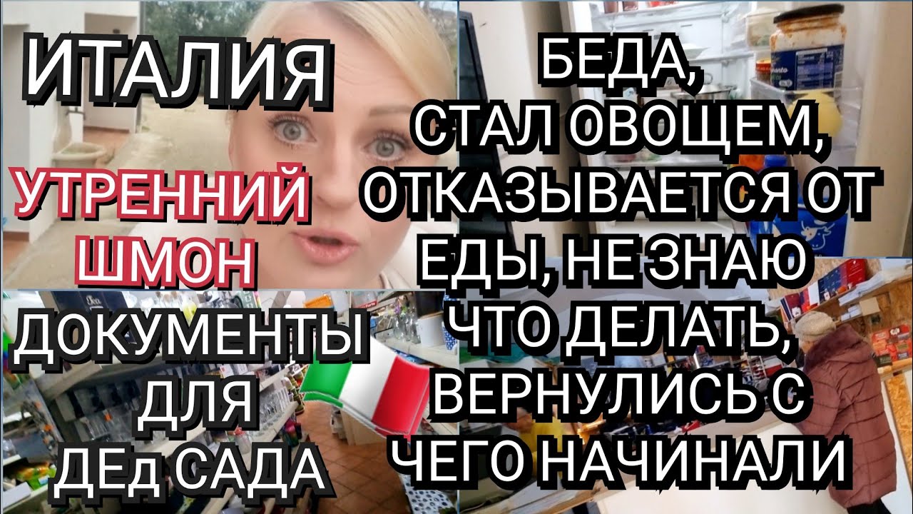 ИТАЛИЯ, СТАЛ ОВОЩЕМ, ОТКАЗАЛСЯ ОТ ЕДЫ, ЧТО ДЕЛАТЬ, ВЕРНУЛИСЬ С ЧЕГО НАЧИНАЛИ, ДОКУМЕНТЫ ДЛЯ ДЕД САДА