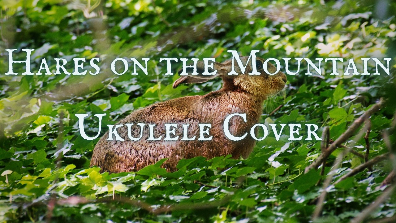 Hares on the Mountain - Ukulele Cover