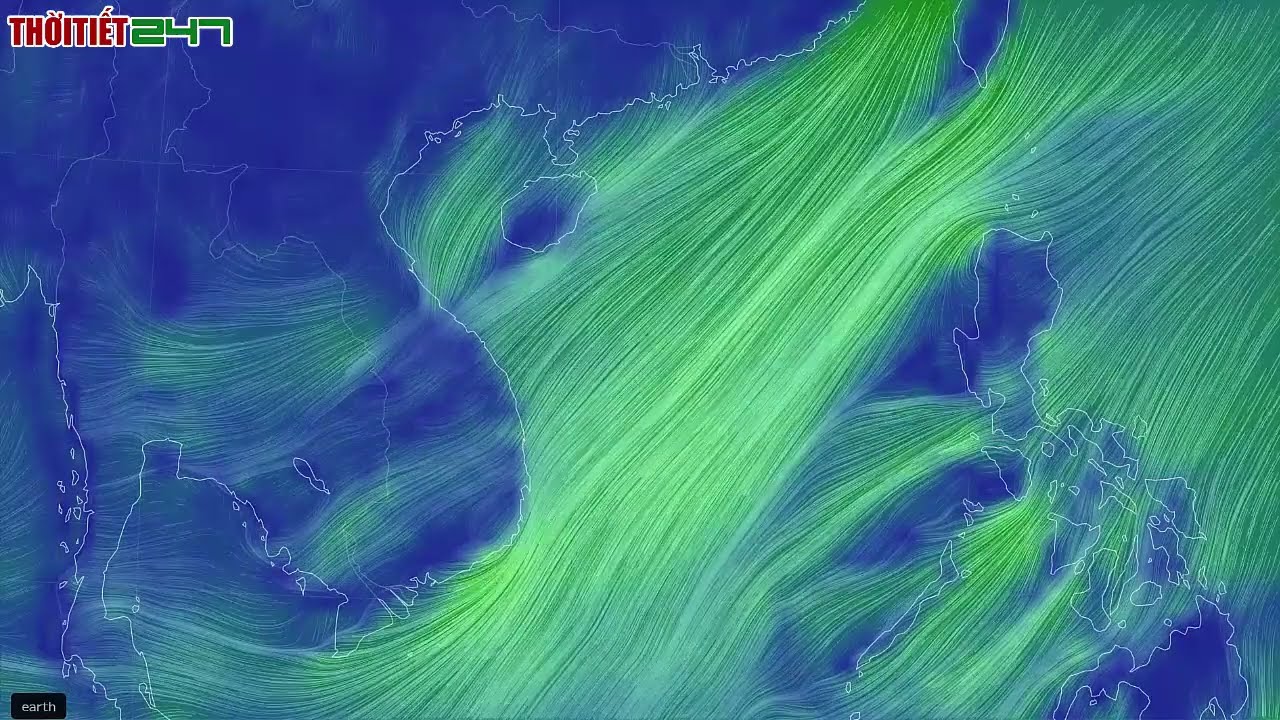 Tin bão Mới Nhất | Dự báo thời tiết hôm nay ngày mai 11/3 | dự báo thời tiết 3 ngày tới #thoitiet