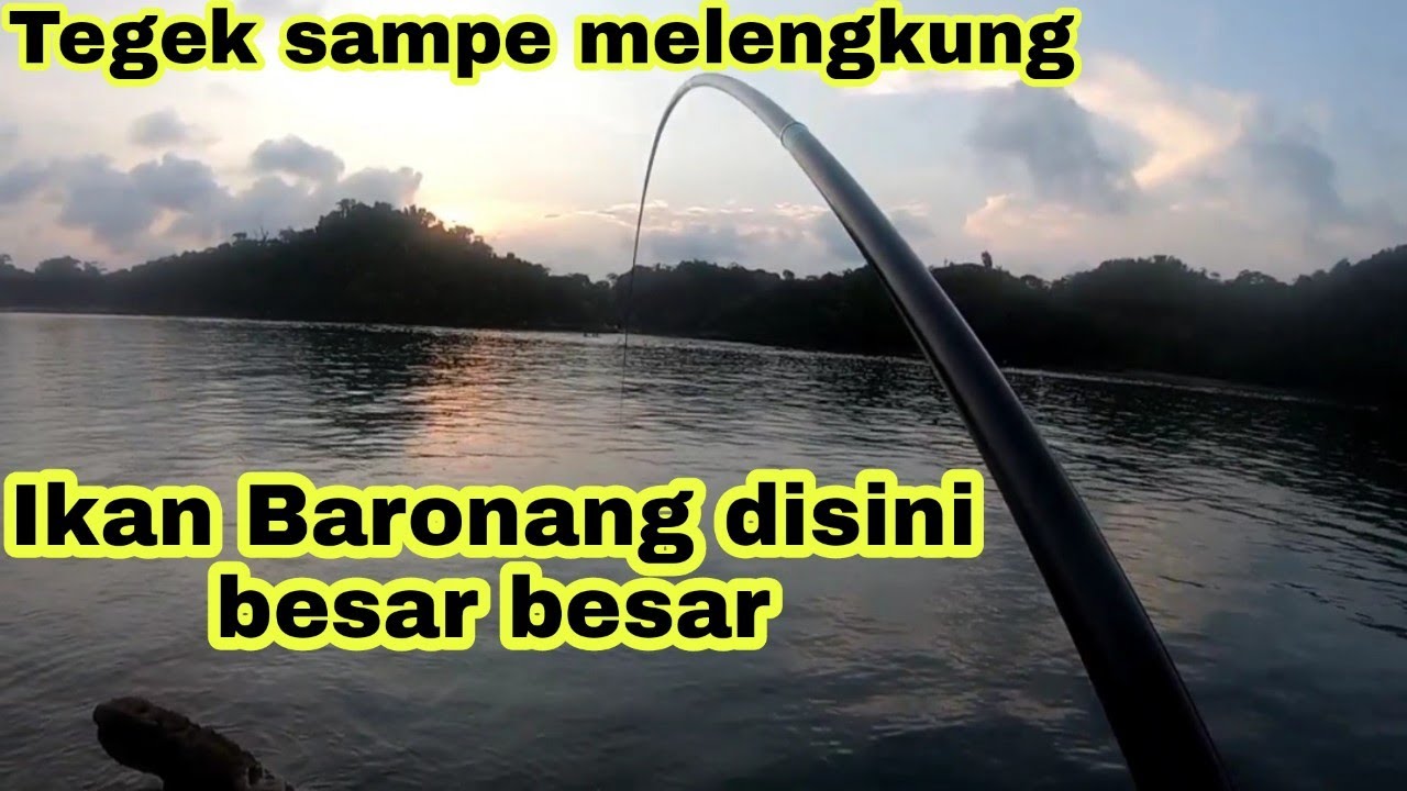 Mancing ikan Baronang di Sendangbiru Malang