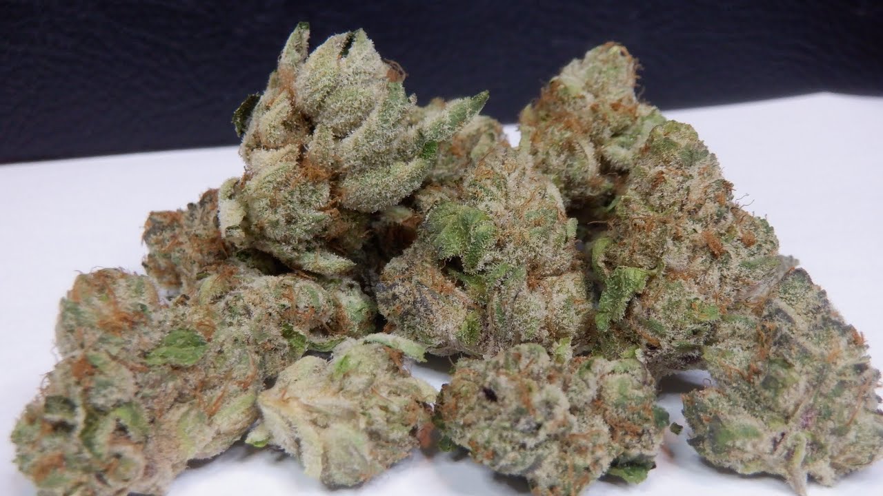 Strain Review Power Sherb By Tribal