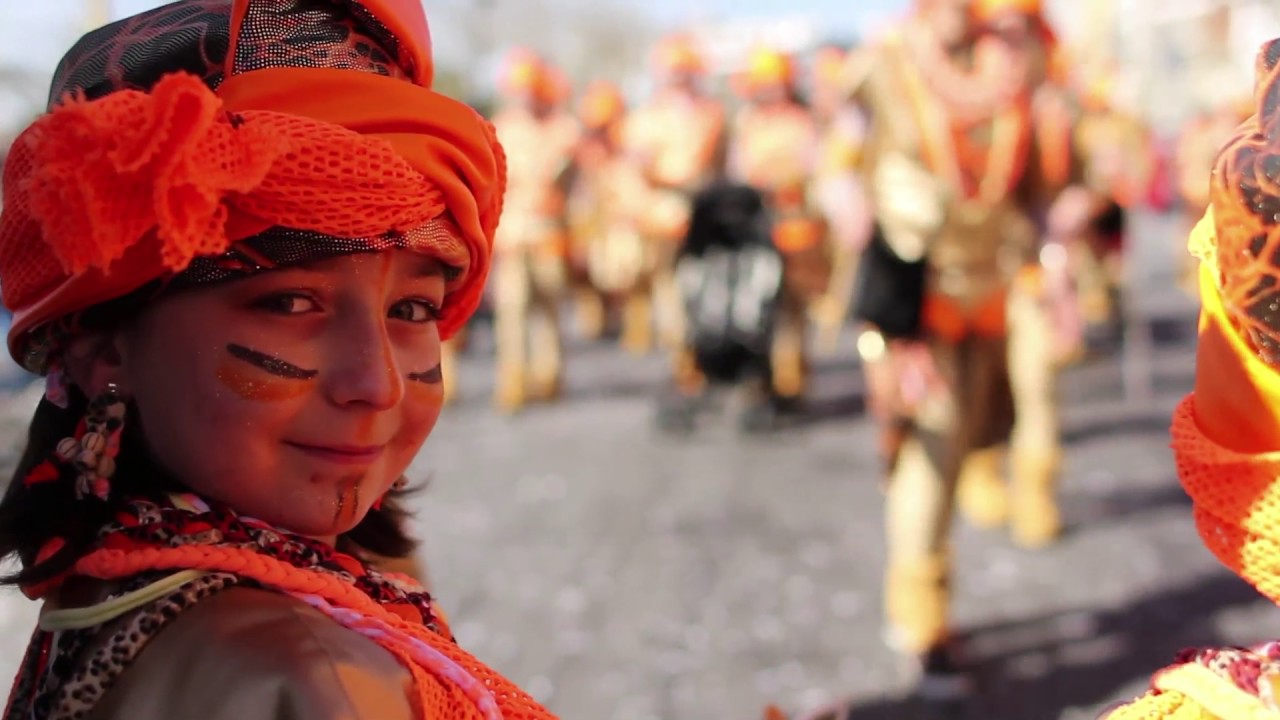 V&Iacute;DEO CARNAVAL DE ROSES 2014