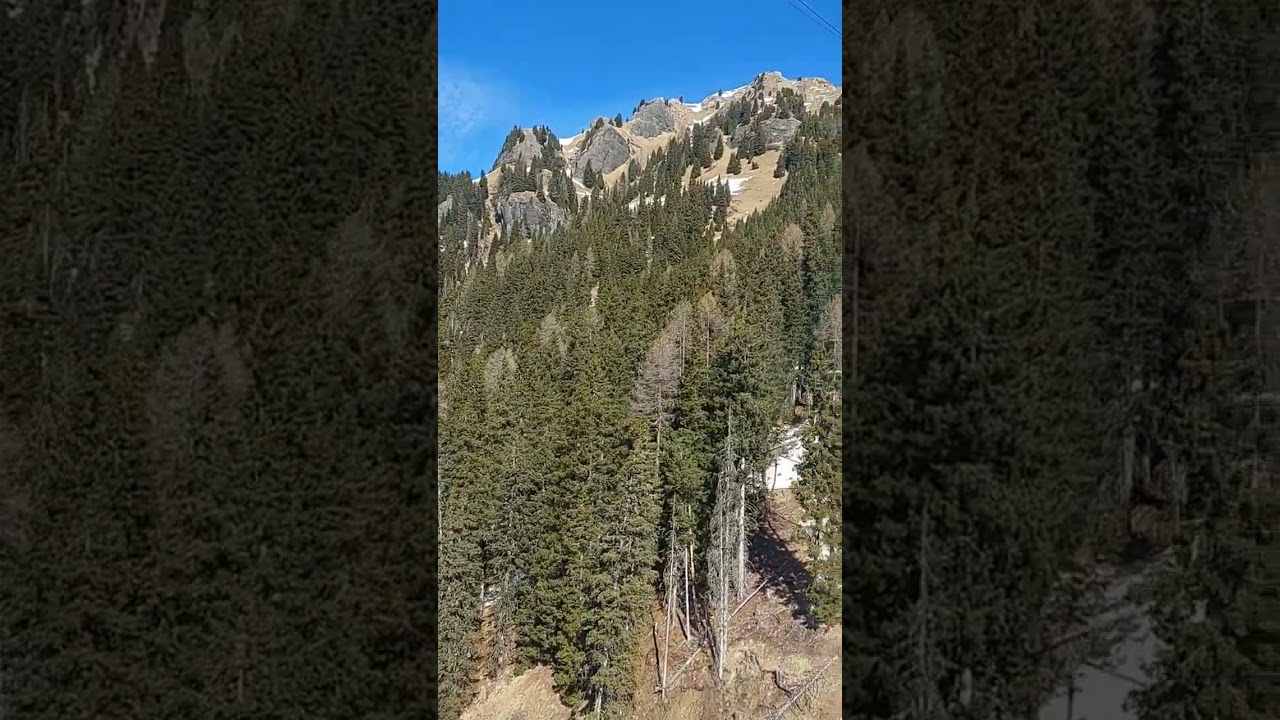Val di Fassa Lift - Funifor Alba-Col dei Rossi @DolomitiSuperski  @visitvaldifassa