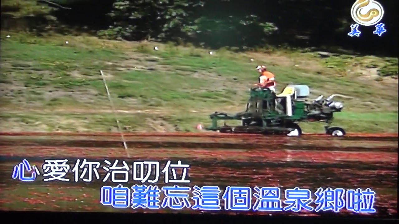 溫泉鄉的吉他  (伴唱)