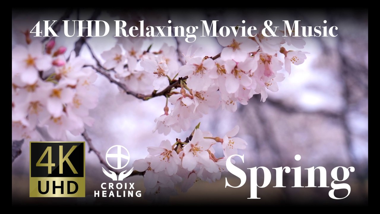 美しい映像と音楽 - CROIX HEALING, 4K UHD Relaxing Movie&Music | Movieclips Trailers, Four Seasons #1 / 4K