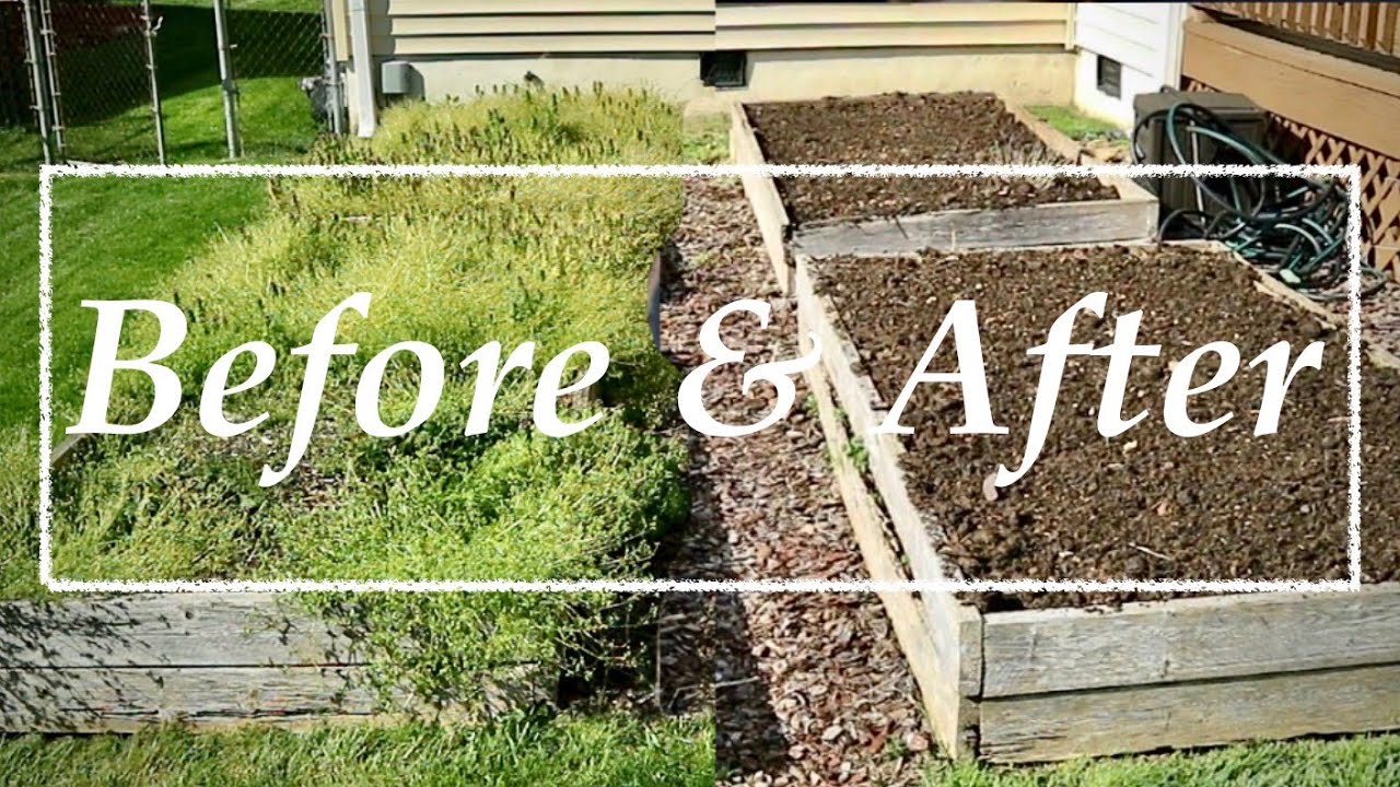 SAVE Old WEEDY Raised Garden Beds | 3 Simple Steps