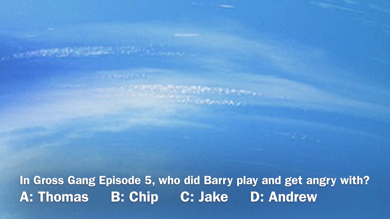Who Wants To Be A Millionaire Ask The Audience Lifeline Theme