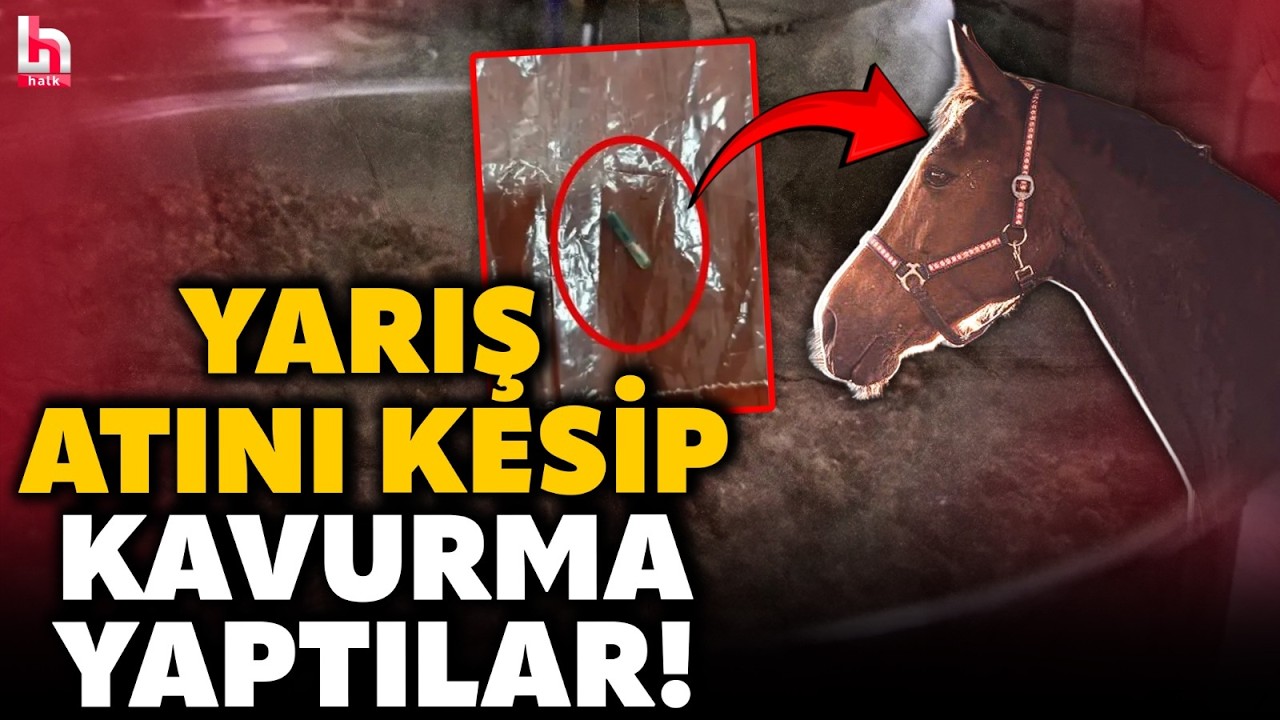 YOK BÖYLE BİR OLAY! Adana'da yarış atını kesip Mersin'de aşevinde kavurma olarak yedirdiler!