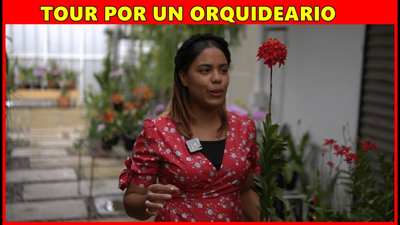 Tour por un orquideario de mi ciudad - Cefrainy Diaz