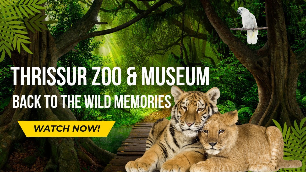 തൃശ്ശൂർ സൂ  ഒരു ഓർമ്മ, ഒരു ജീവിതം #thrissurzoo / THRISSUR ZOO #vlog