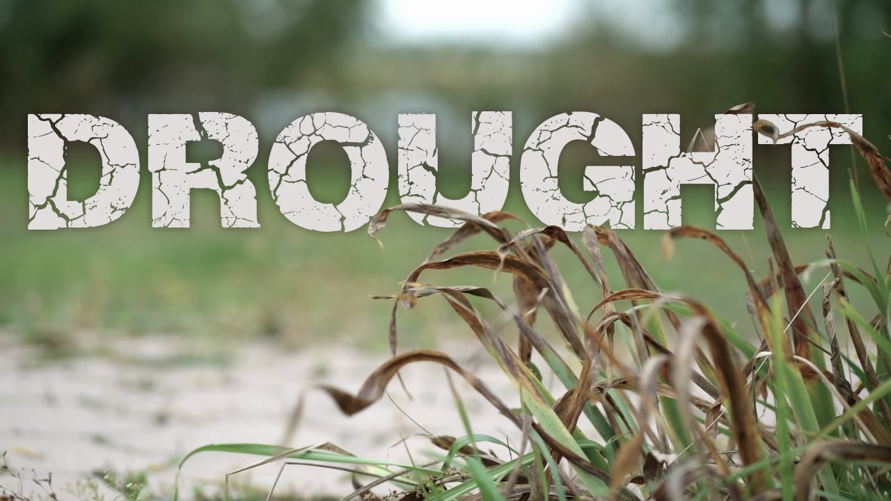 Why drought is about more than just rainfall