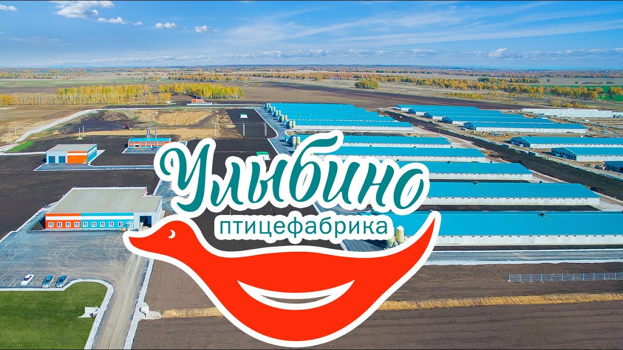 Птицефабрика Улыбино