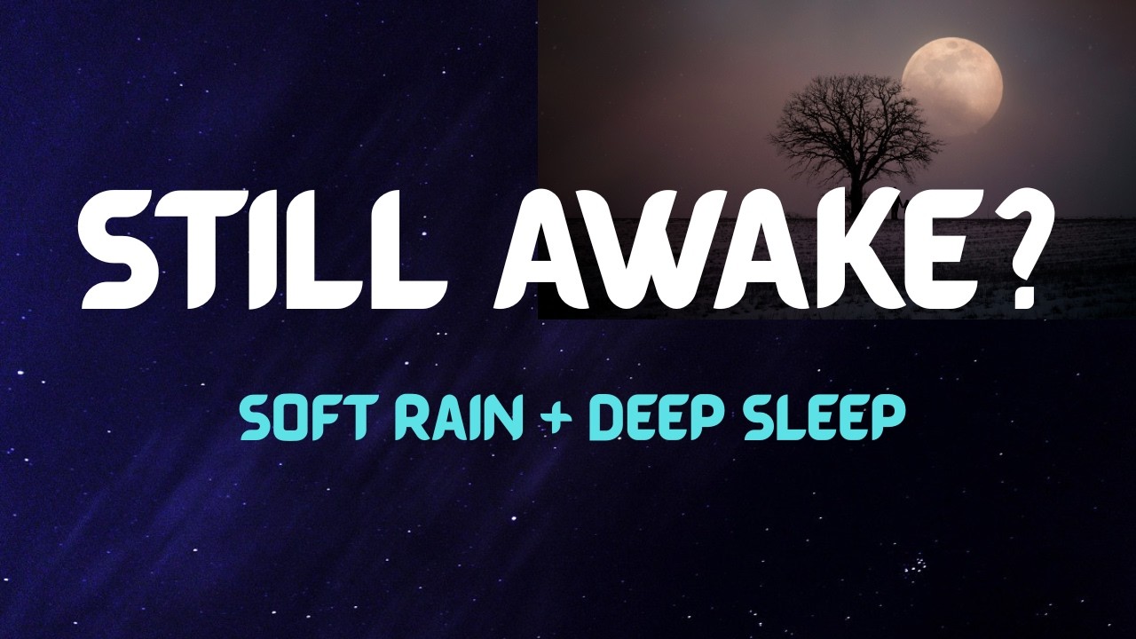 STILL AWAKE ? Soft Rain No Thunder 🌧️ Black Screen Sleep | 8 Hours